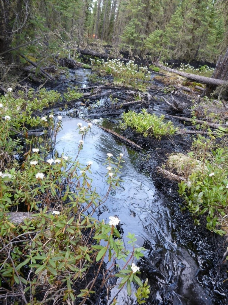 https://www.ernstversusencana.ca/wp-content/uploads/2013-09-cold-lake-tar-sands-bitumen-spill_0.jpg